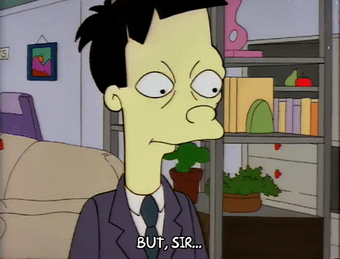 Season 3 No GIF by The Simpsons