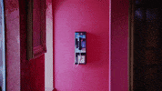 Music Video GIF by Young The Giant