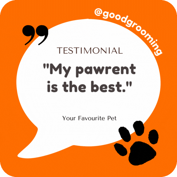 GoodGrooming giphyupload testimonial pawrent goodgrooming GIF