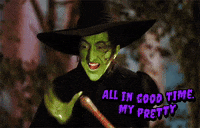 Wizard Of Oz Witch GIF by slicedbread