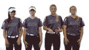 Elon Softball Sticker by Elon Phoenix