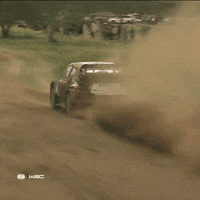 Car Driving GIF by FIA World Rally Championship