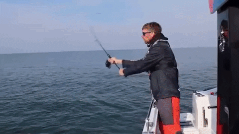 Fishing Fishon GIF by Amiaud