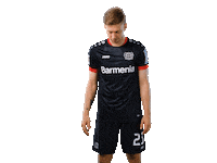 Bayer 04 Wtf Sticker by Bayer 04 Leverkusen