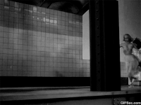 stalker GIF