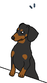 Dog Dachshund Sticker