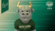 College Sports Bulls GIF by College Colors Day