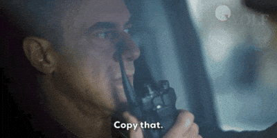 I Understand Law And Order GIF by Wolf Entertainment