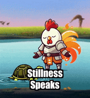 Wisdom Stillness GIF by Zorooster