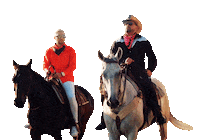 sony music latin que bomba Sticker by Play-N-Skillz