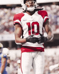 Celebrate Deandre Hopkins GIF by Arizona Cardinals