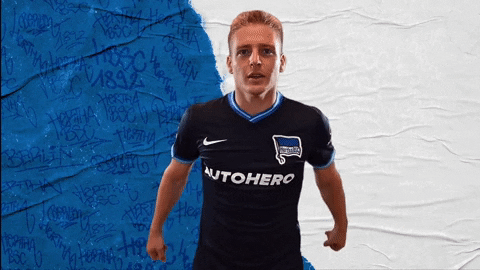 Bundesliga Berlin GIF by Hertha BSC