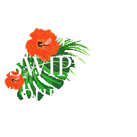Orientana beauty swipe up glow snail Sticker