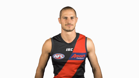 essendonfc giphyupload dons bombers essendon GIF