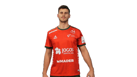 Letsgovamos Sticker by Federação de Andebol de Portugal