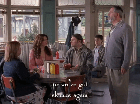 season 4 netflix GIF by Gilmore Girls 