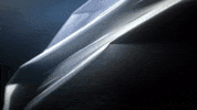 Art Bird GIF by Woodblock
