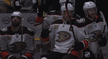 happy ice hockey GIF by NHL