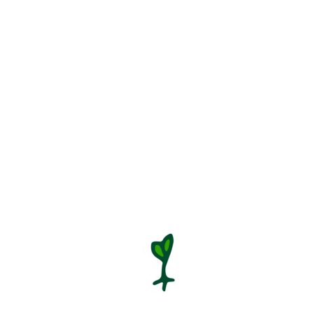Spring Growing Sticker by Publix