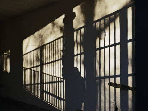 figures-ambigues giphyupload art photo GIF