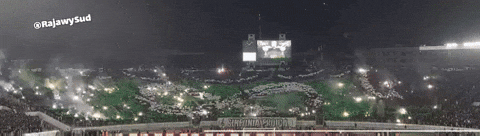 Raja Casablanca Curvasud GIF