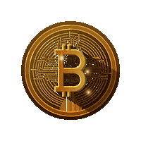 Gold Bitcoin Sticker by Digital Pratik