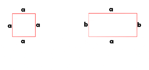 brusnicka giphyupload GIF