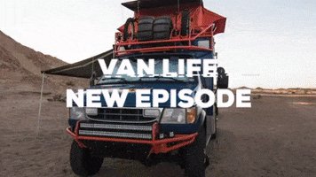 redbull  GIF