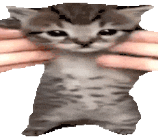 Katethepencil Sticker