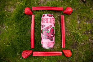 fruit beer pink GIF by Rogue Ales & Spirits