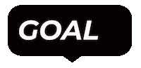 Goal Hockey Sticker by Bouclair