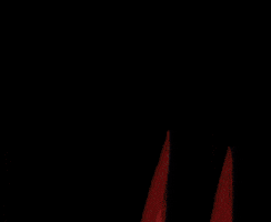 Shocked Girl GIF