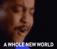 A Whole New World Aladdin GIF by the innernette