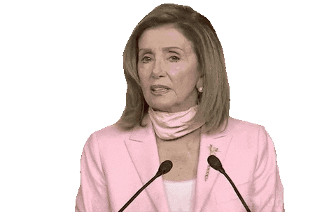Nancy Pelosi What Sticker by GIPHY News