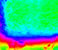 clara-andrea art neon graphic design visual art GIF