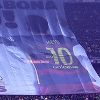 Lionel Messi Argentina GIF