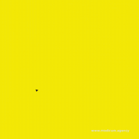 love it yes GIF by Modicum