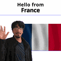 France Fr Sticker