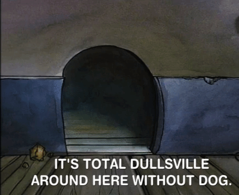 nicksplat GIF