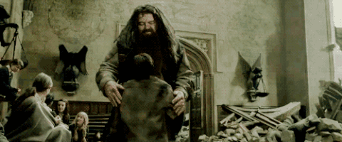 hagrid GIF