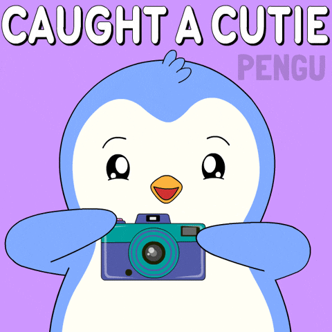 Penguin Smile GIF by Pudgy Penguins
