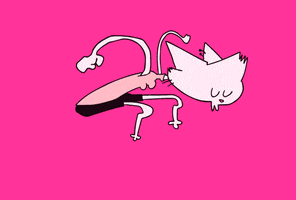 Cat Happy Dance GIF by sarahmaes