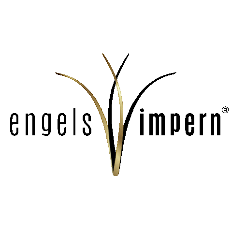 Gold Lashes Sticker by Engels Wimpern
