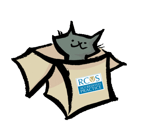 Pss Sticker by theRCVS