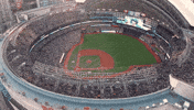 Canadian Baseball GIF by Toronto Blue Jays