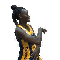 Netball Sticker by Sunshine Coast Lightning