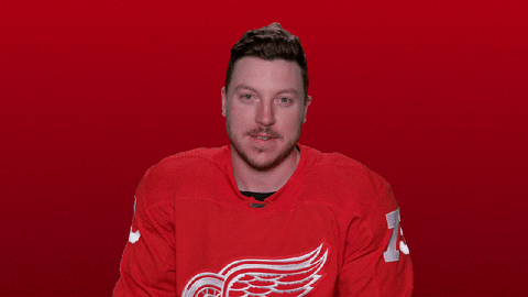 Red Wings Sport GIF by Detroit Red Wings