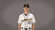 Baseball Calstatela GIF by Cal State LA Golden Eagles