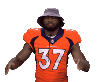 Denver Broncos Stickers Sticker by NFL