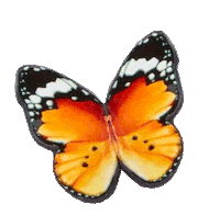 Swxmas Sticker by Sophia Webster